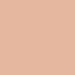 Краска Sherwin Williams SW 6345 Sumptuous Peach A 100 Flat 19 л на 152