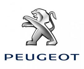 Запчасти Peugeot. Магазин запчастей на Peugeot (Пежо) в Уфе