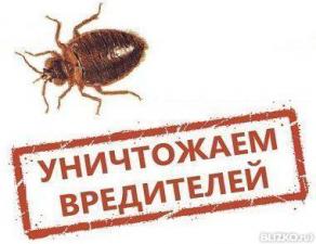 Уничтожение вредителей в Анапе тараканы, блохи, клещи