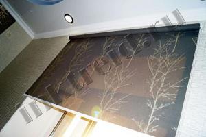 Рулонные шторы на оконный проем, под Ваши мебель и интерьер