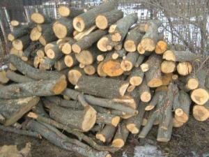 Продаж доставка торфобрикет дрова Луцьк дубові дрова Луцьк