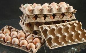 Линии по производству упаковки для яиц