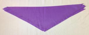 Фиолетовые пионерские галстуки