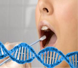 ДНК-тест на отцовство (генетический анализ)