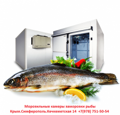 Холодильные Агрегаты для Заморозки и Хранения Рыбы