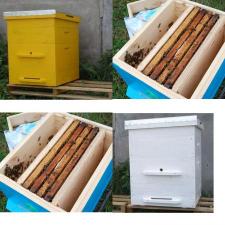 Ульи для расширения (развития) приобретенных пчелопакетов