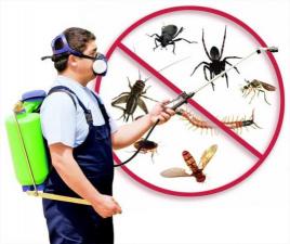 Дезинсекция,уничтожение насекомых