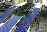 Пластиковые конвейерные ленты для пищевых производств в Белоруссии, Казахстане от крупнейшего Российского производителя