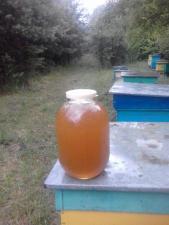 Продам мёд лесной, урожай 2019 года