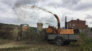 Аренда измельчителя деревьев ,щепорез в Егорьевском районе