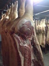 Мясо свинина в полутушах, 2 категория