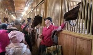 Экскурсия по конному манежу с посещением конюшни