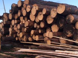 Услуга распиловки древесины, пиломатериала в Кемерово