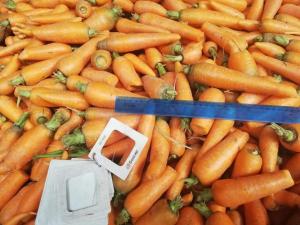 Морковь и свекла некондиция мытая