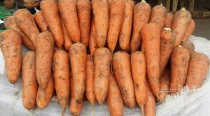Морковь картошка лук капуста мешками в Москве с доставкой на дом в офис