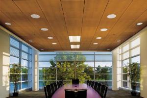 Деревянные потолочные панели для подвесного потолка