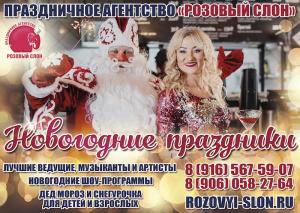 Организация Новогодних корпоративов в Солнечногорске.