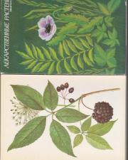 Комплект открыток "лекарственные растения"