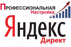 Интернет-реклама Яндекс Директ для Вашего бизнеса.
