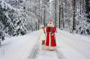 Дед Мороз с гармошкой