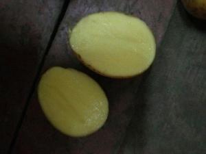 Продовольственный и семенной картофель оптом.