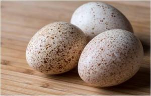 Инкубационное яйцо с Индейки Ставрополья
