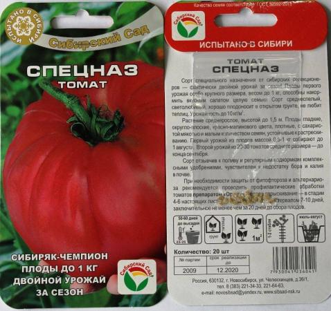 Рассада томата крупных томатов купить в Красноярске на UniBO.ru -объявление ID#7667270