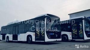 Городской полунизкопольный автобус нефаз 52993057