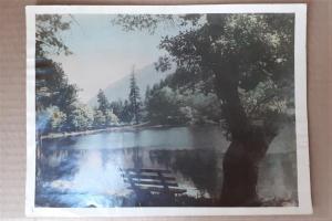 Фото открытка город Кисловодск Озеро Кара-Кель 1954 год 18 х 24 см Артель "Художпром"