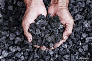 Уголь каменный в Кобралово с доставкой.