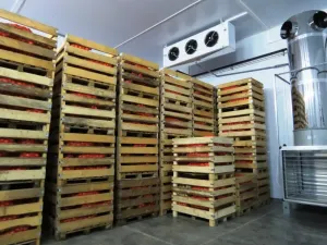 Агрегаты Холодильные для Овощехранилищ, Фруктохранилищ