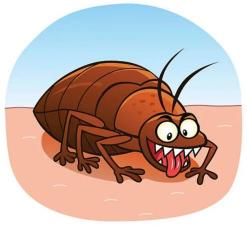 Дезинфекция от тараканов и др насекомых
