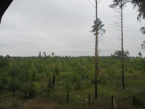 Земельный участок 10,2 Га с. Усть-Заостровка