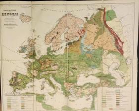 Геологическая карта Европы на холсте, 19 век