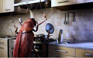 Уничтожение тараканов и клопов в Троицке