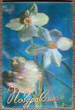 Стерео-открытка "Поздравляю". Нарциссы, гвоздики. 1981 год