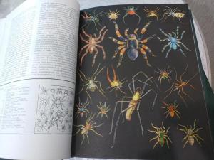Энциклопедия "Жизнь животных" 1968 ред Зенкевич 6 томов 7 книг Красочные иллюстрации формат A4