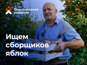 “Южный агрокомбинат” (М) Сборщик урожая (вахта/местный) Карачаево-Черкесия