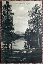 Антикварная открытка "Вид на гору Мунсфьеллет из Богеде". Швеция