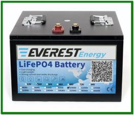 Тяговые литиевые аккумуляторы Everest Energy LFP-24V100А
