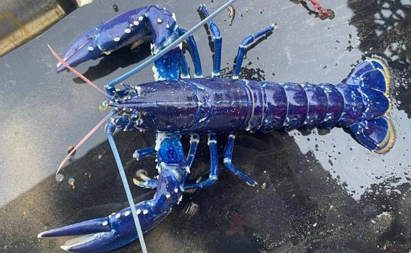 1 Сотрудник по документообороту вакансия в Москве на UniBO.ru ...