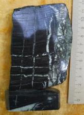 Коллекционный минерал агат с натуральным рисунком в форме ствола берёзы