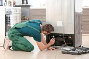 Необходимо выполнить профессиональный ремонт холодильника?