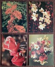Мини-открытки. 1980-е годы