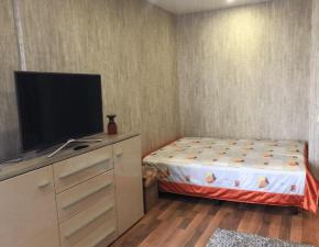 Сдам 1-комнатную квартиру по адресу: Краснотурьинск, ул. Чапаева, д. 21