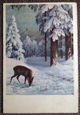 Антикварная открытка "Зимой в лесу"