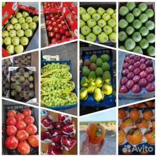 Овощи/фрукты/цитрусы/салаты. Оптом Стамбул-Турция