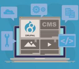 Услуги по поддержке интернет проектов на CMS Drupal