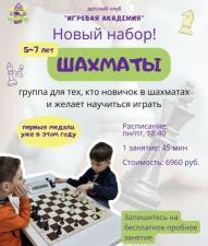 Шахматы для детей в Жулебино