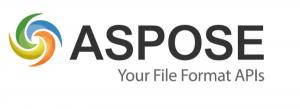 Aspose Aspose.Total for JasperReports Developer Small Business